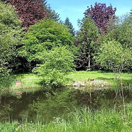 Mit Teichblick