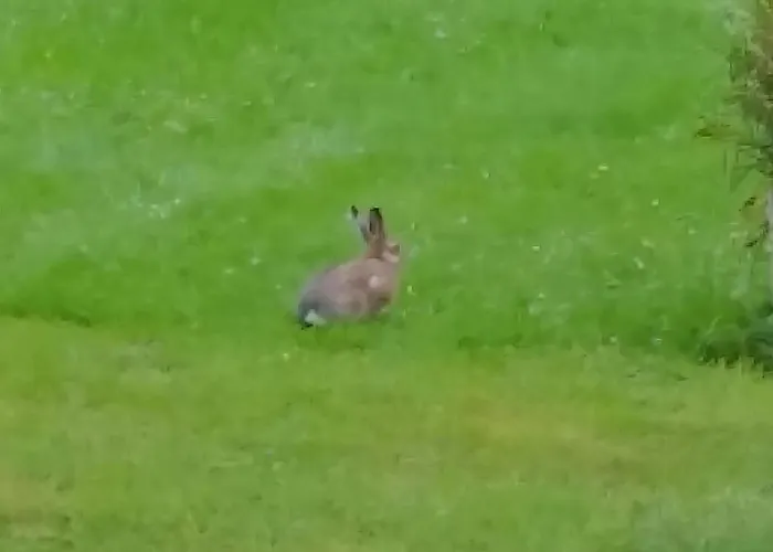 Panzió Mit Teichblick