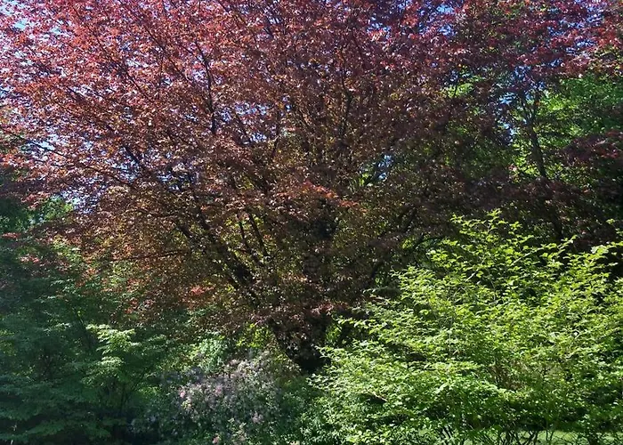 Mit Teichblick Panzió 3*